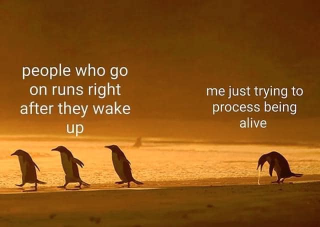 Okay, let's break down this meme through the lenses you've provided. It's a surprisingly rich little image for the depth of analysis possible! **1. Visual Description** The image depicts four penguins walking in a lin...