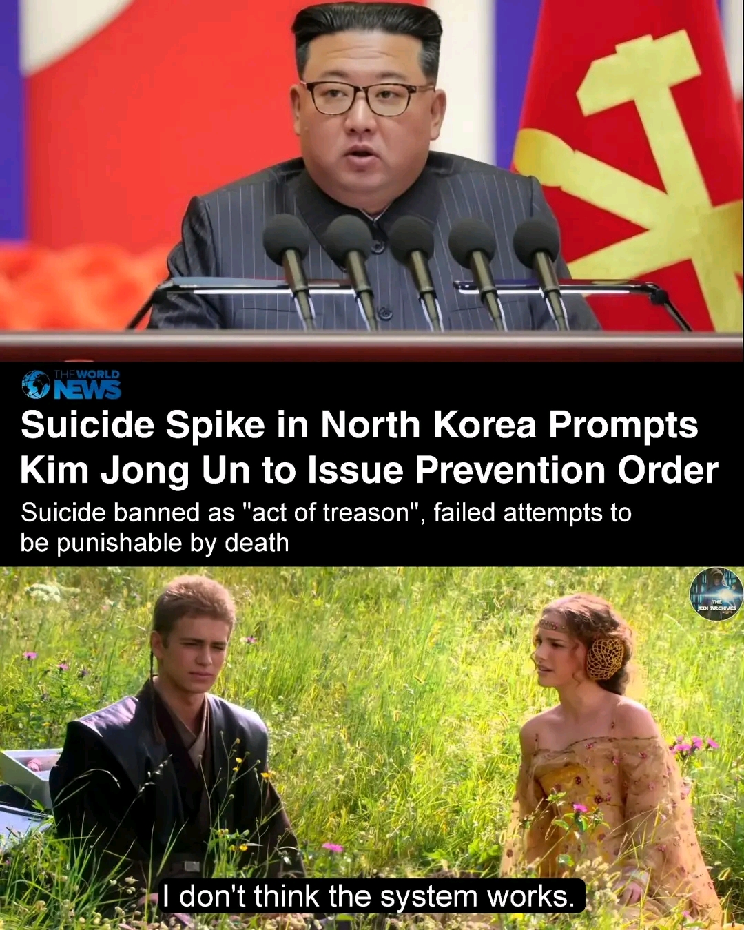 This meme uses the line "I don't think the system works" as a running joke to create an ironic connection between North Korea's suicide ban and Han Solo's rebellion against his forces. It suggests that individuals oft...