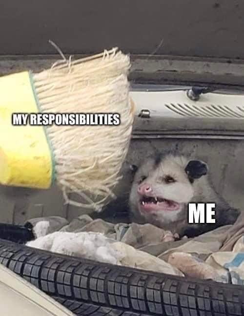 Okay, let's break down this meme using the requested theoretical lenses. It's a rich image for analysis! ## Visual Description The image is a photograph of an opossum seemingly trapped within the engine compartment of...