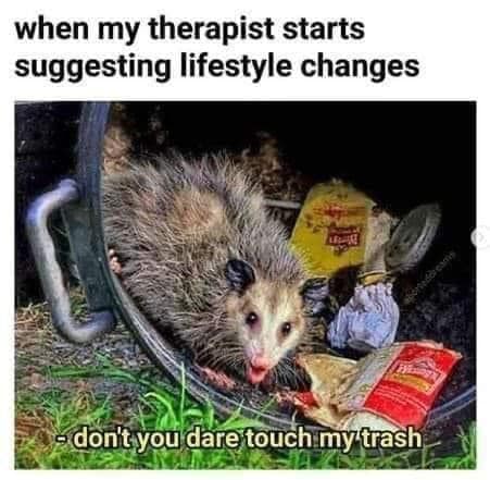 Okay, let's break down this meme through a few theoretical lenses. It’s a rich little image with surprising depth! ## Visual Description The image depicts an opossum completely immersed in an overturned outdoor garbag...