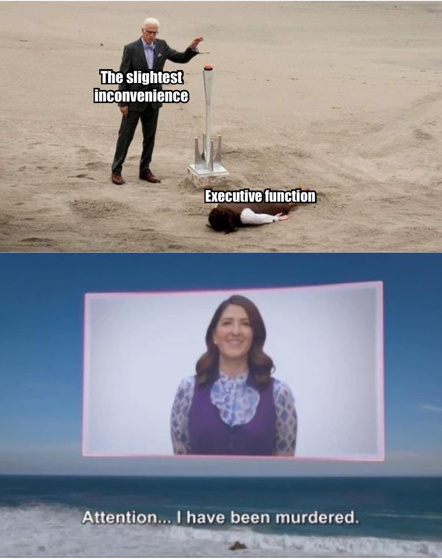 Okay, let's break down this meme through the lenses you've provided. It's a complex image with layers of ironic commentary, so it lends itself to multiple interpretations. **Visual Description** The meme is a diptych...