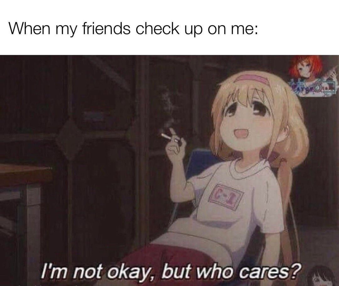 Okay, let's break down this meme through several theoretical lenses. Be warned that applying complex theory to a meme can be a bit...extravagant, but that's part of the fun! **Visual Description** The image is a scree...