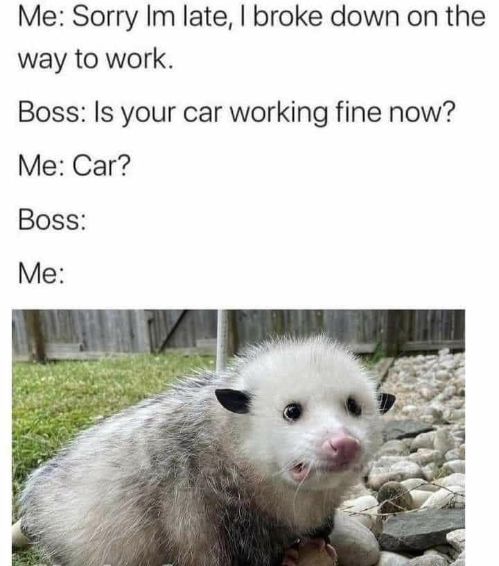 Okay, here's an analysis of the meme, broken down into the requested theoretical frameworks. Note that some categories simply don't meaningfully apply to this image, and will be stated as such. ## Visual Description T...