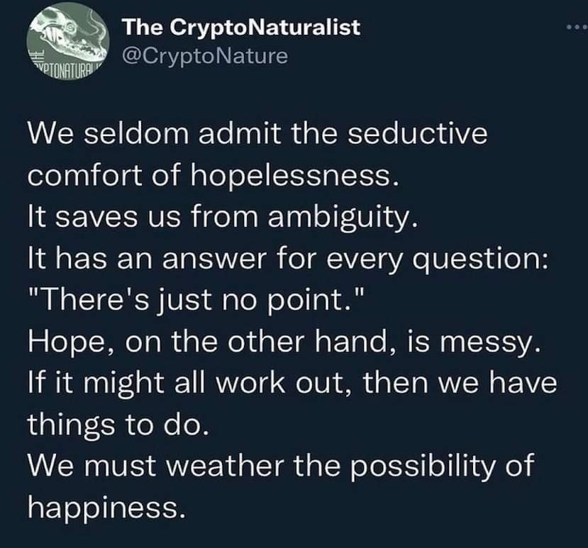 Okay, let's break down this Twitter post, "We seldom admit the seductive comfort of hopelessness…" through the lenses you've requested. We'll only include sections where the text lends itself to that analysis. --- **V...