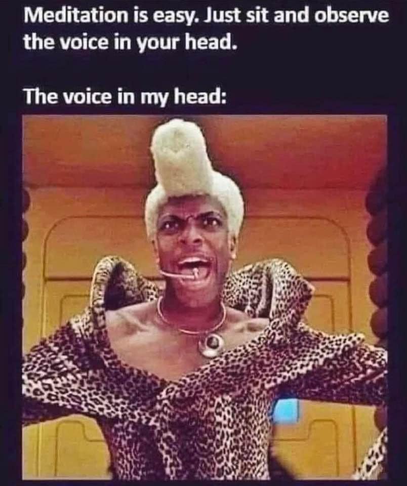 Okay, let's break down this meme with the requested theoretical lenses. It's a rich image and text combo, lending itself well to deeper analysis. **Visual Description** The image depicts a dramatic close-up of RuPaul...