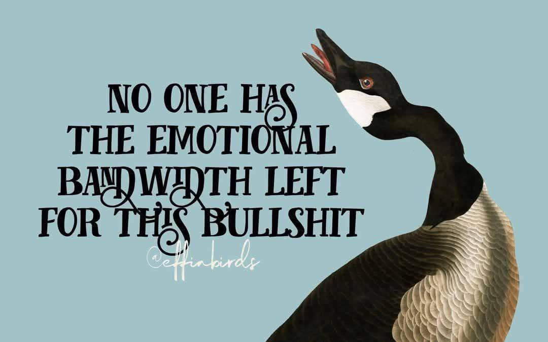 623275341_10236236956497700_4923662293360455981_n