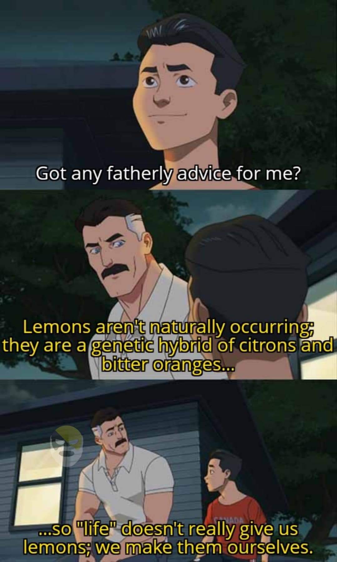 The meme is a humorous example of a person seeking advice from their father, but instead of receiving a helpful response, the father's answer is a bizarre and absurd explanation of the origin of lemons. The text "Lemo...