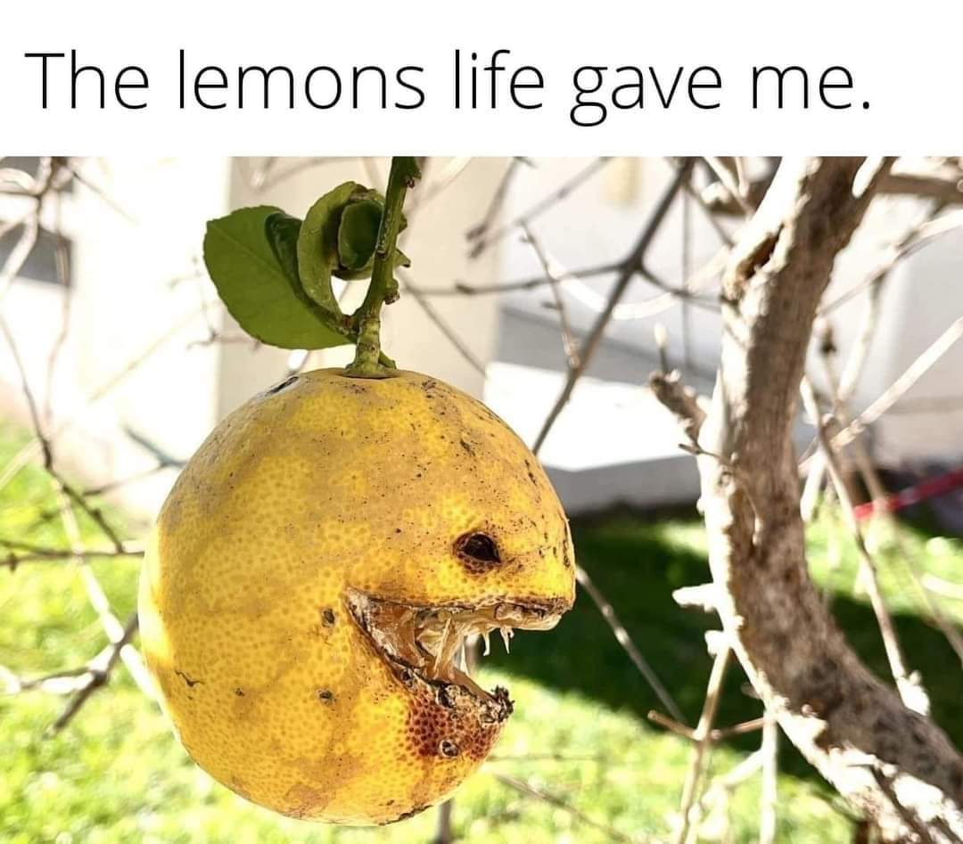 The meme is a humorous take on the idea that life can be unpredictable and even cruel, using a decaying lemon as a metaphor for the challenges of life. The image shows a lemon with a grotesque, worm-eaten face, with t...