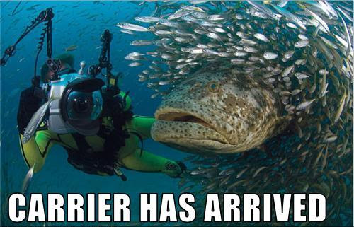 Okay, let's break down this image with the requested theoretical lenses. It's a wonderfully strange image, ripe for analysis! ## Visual Description The image depicts a diver in a full-body wetsuit, encased in a large,...