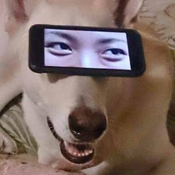 Okay, let's break down this intriguing image using the requested theoretical lenses. It's a surprisingly rich image for analysis. **Visual Description** The image features a close-up of a light-colored dog (possibly a...