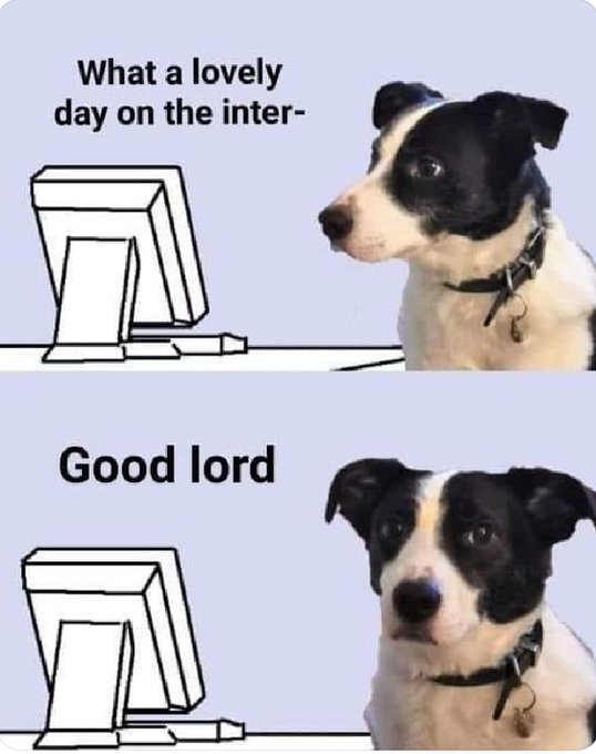 This meme features a dog sitting at a computer, looking at a screen with a puzzled expression. The text above the dog reads "What a lovely day on the internet..." and below it says "Good lord". The meme is a humorous...
