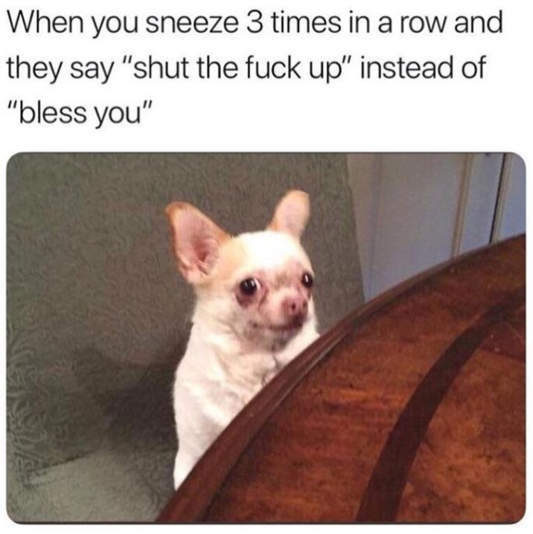 Okay, here's an analysis of the meme, broken down into the requested theoretical frameworks, with explanations of how each applies (or doesn't) to this particular image and caption. ## **Visual Description** The meme...