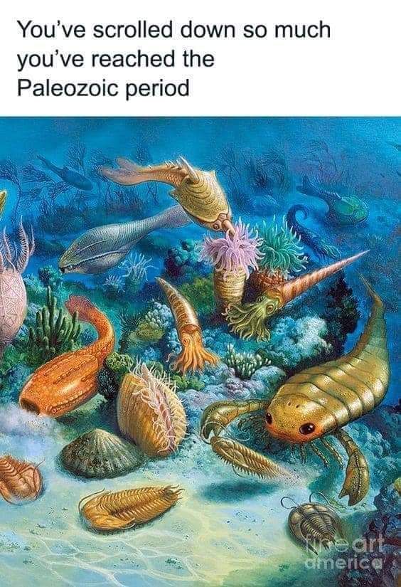 Okay, let's break down this image of Paleozoic marine life with the requested analytical lenses. **Visual Description** The image is a detailed, illustrative rendering of a scene from the Paleozoic Era, likely the Cam...