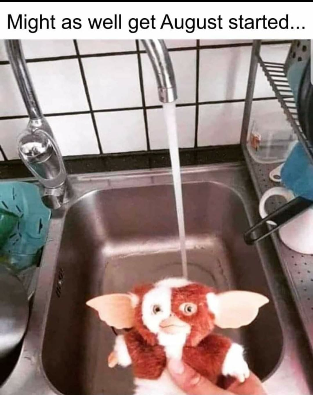 Okay, here’s an analysis of the image, broken down into the sections you requested, with explanations of why certain sections are or are not applicable. ## **Visual Description** The image depicts a plush Gremlin toy...