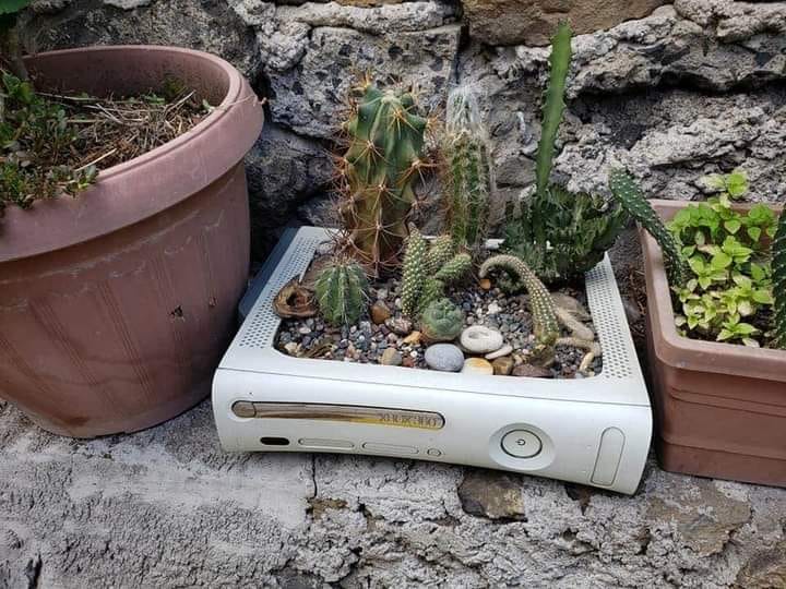 Okay, here's an analysis of the image, broken down into sections addressing the prompts, *only* where the topic feels relevant and insightful. Given the nature of the image, some sections will be more robust than othe...