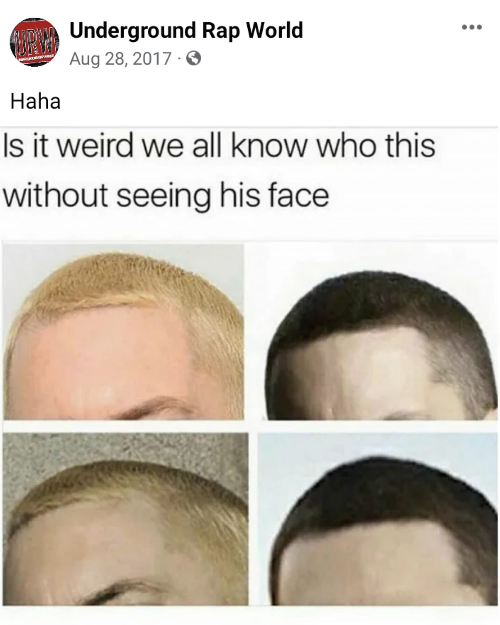 Okay, here's a breakdown of the image and accompanying text, analyzed through the lenses you requested. Some sections will be brief or absent if a particular theory doesn't strongly apply. ## Visual Description The im...