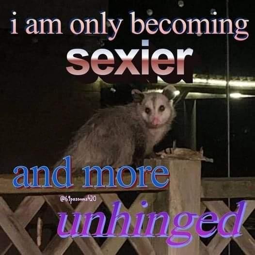 Okay, let's break down this delightfully strange image through several theoretical lenses. **Visual Description** The image features a possum positioned on top of a metal fence or railing. The background is dark, sugg...