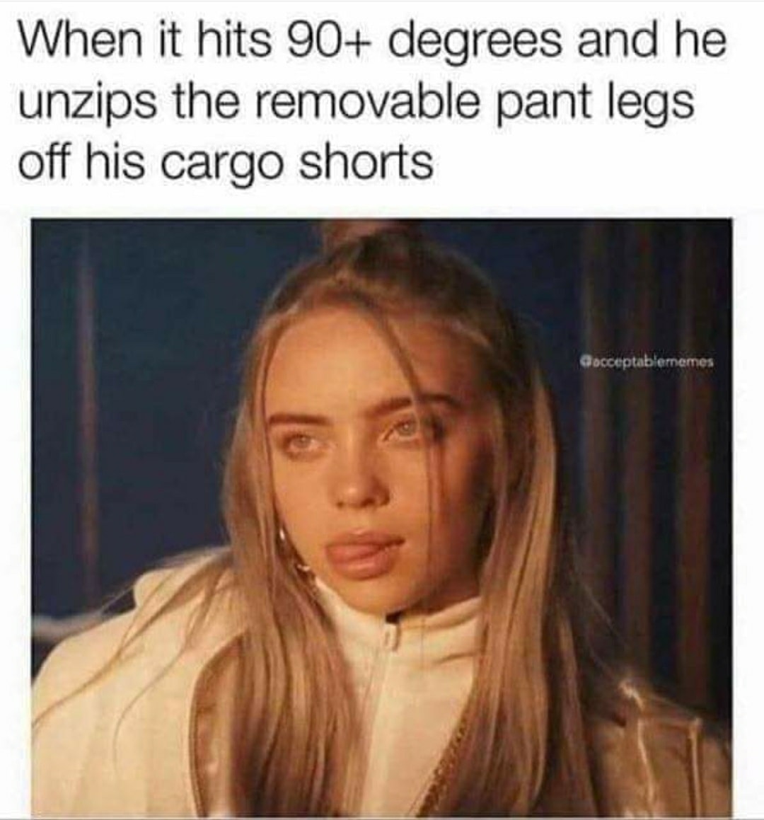 Here's an analysis of the meme, broken down into sections as requested, focusing on where the theory meaningfully applies. **Visual Description** The meme consists of an image of Billie Eilish, a contemporary pop sing...