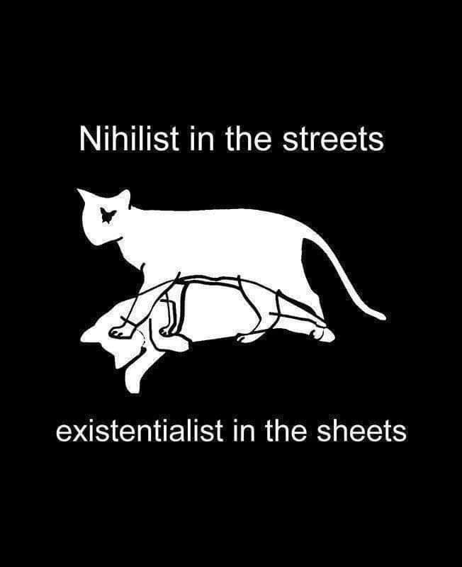 Okay, let's break down this meme with the requested theoretical frameworks. It's important to note that the meme's power lies in its absurdity and juxtaposition. Applying these theories will be somewhat "stretching" i...