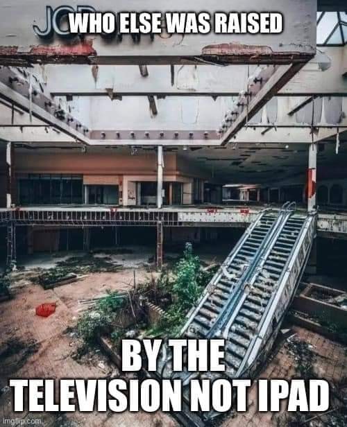 Okay, let's break down this image/meme through the lenses of various theoretical frameworks. **1. Visual Description** The image depicts the interior of a derelict shopping mall. The architecture is clearly from a mid...