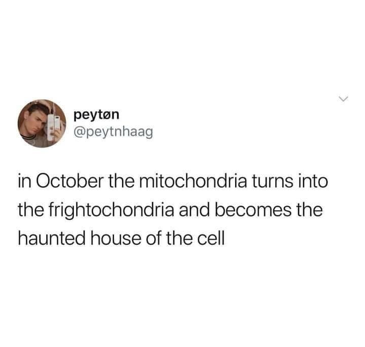 Here's an analysis of the social media post, broken down into sections as requested. Keep in mind, this is a short, playful statement, so the depth of analysis in each section will vary. I'll indicate if a section doe...