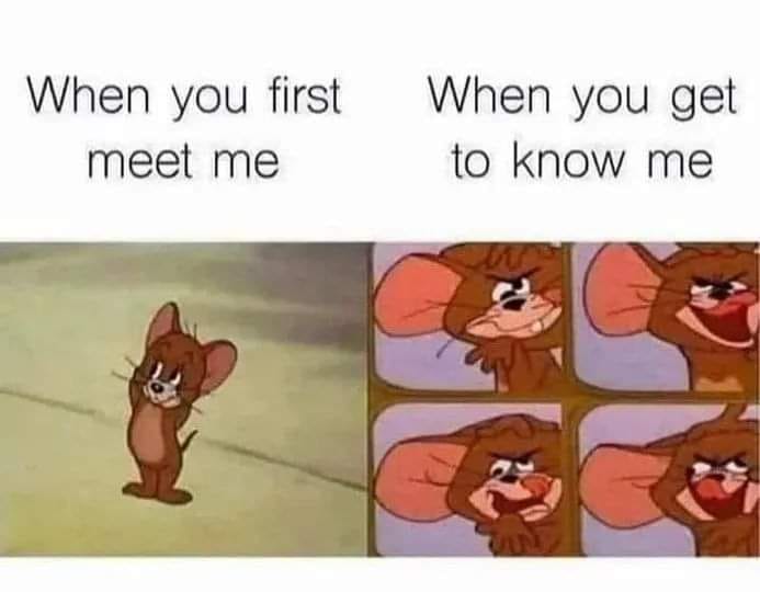 Okay, let's break down this meme through the lenses of several critical theories. **Visual Description** The meme presents a “before and after” juxtaposition using images of the cartoon character Jerry Mouse (from *To...