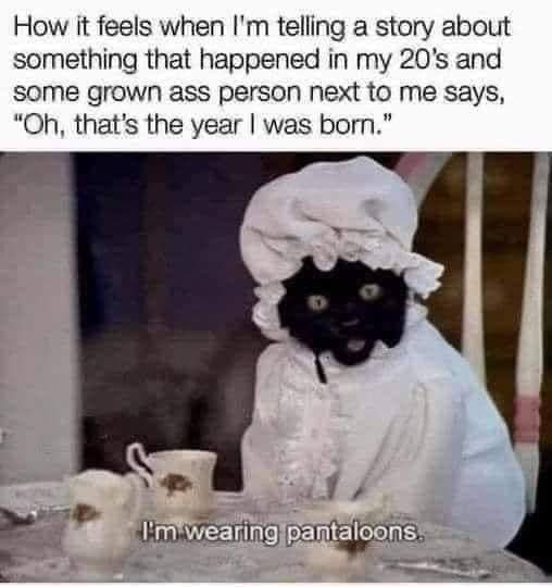 Okay, let's break down this meme through the requested theoretical lenses. It's a layered meme, so we'll have a decent amount to say! **Visual Description** The image features a black cat draped in what appears to be...