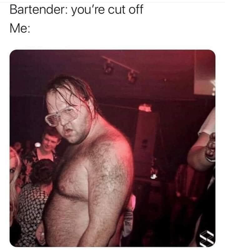 Okay, let's break down this image and its caption ("Bartender: you're cut off. Me:") through the lenses you've provided. Given the nature of the image and caption, some of these analyses will be more prominent than ot...