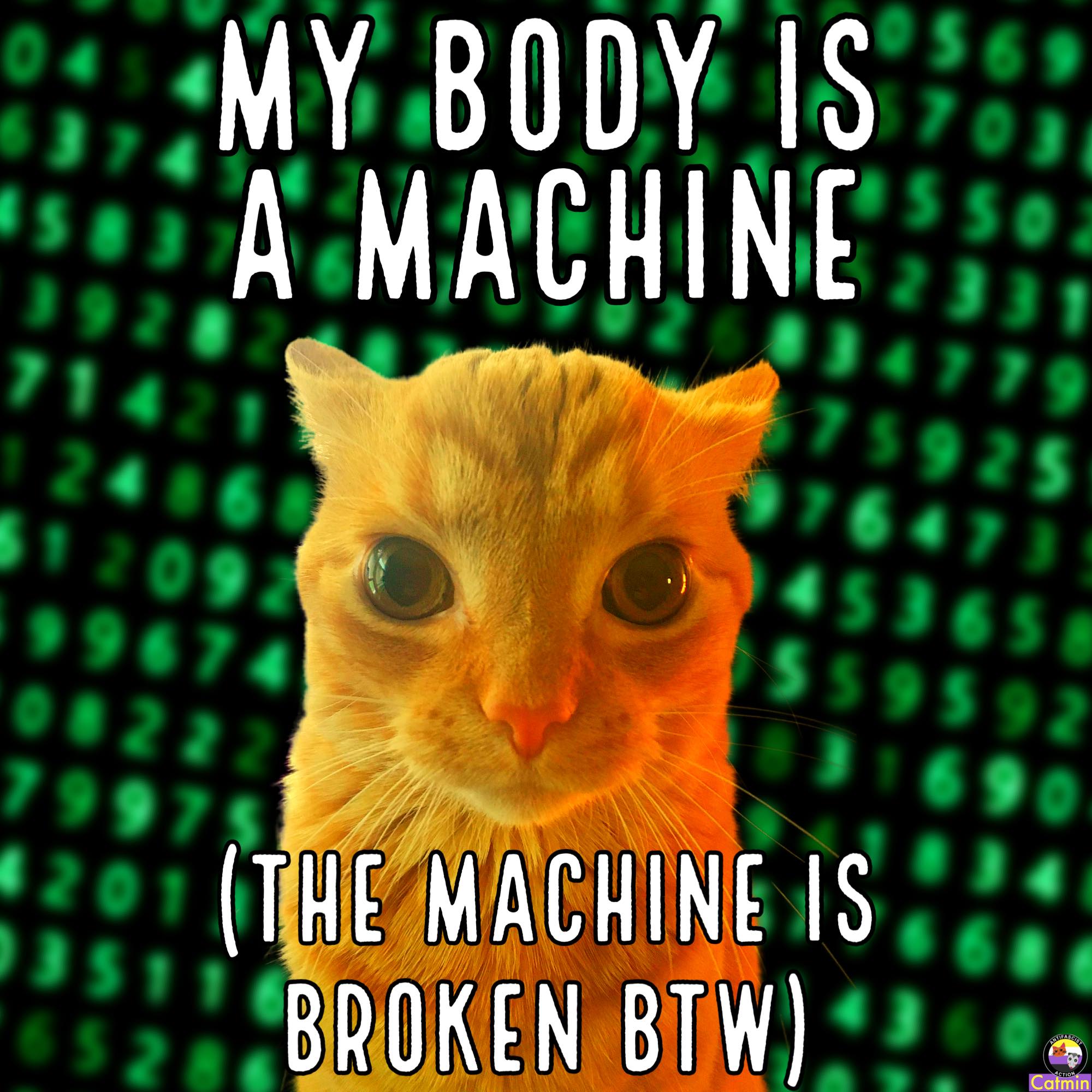 Okay, here's an analysis of the image, broken down into the requested sections, focusing on how different theoretical frameworks might interpret it. I’ll explain why certain sections aren’t as applicable if needed. **...