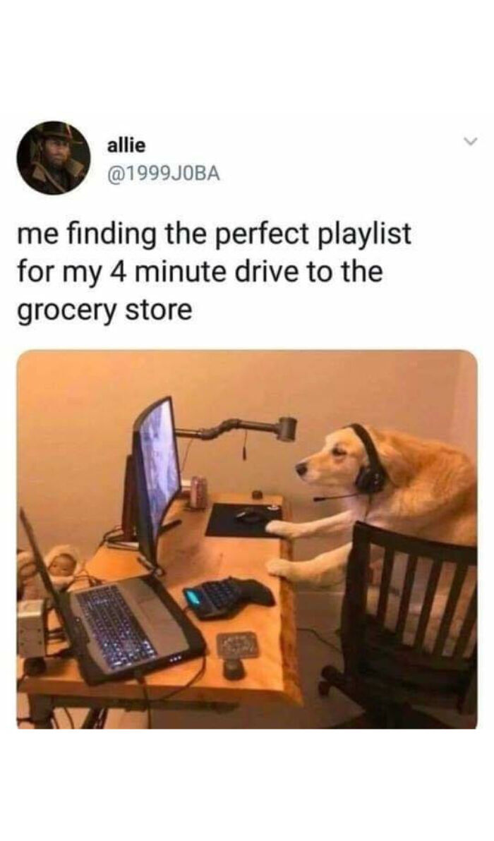 Okay, let's break down this meme through various critical theory lenses. It’s a surprisingly rich image for that! **Visual Description** The image is a humorous photograph. It features a golden retriever dog sitting i...