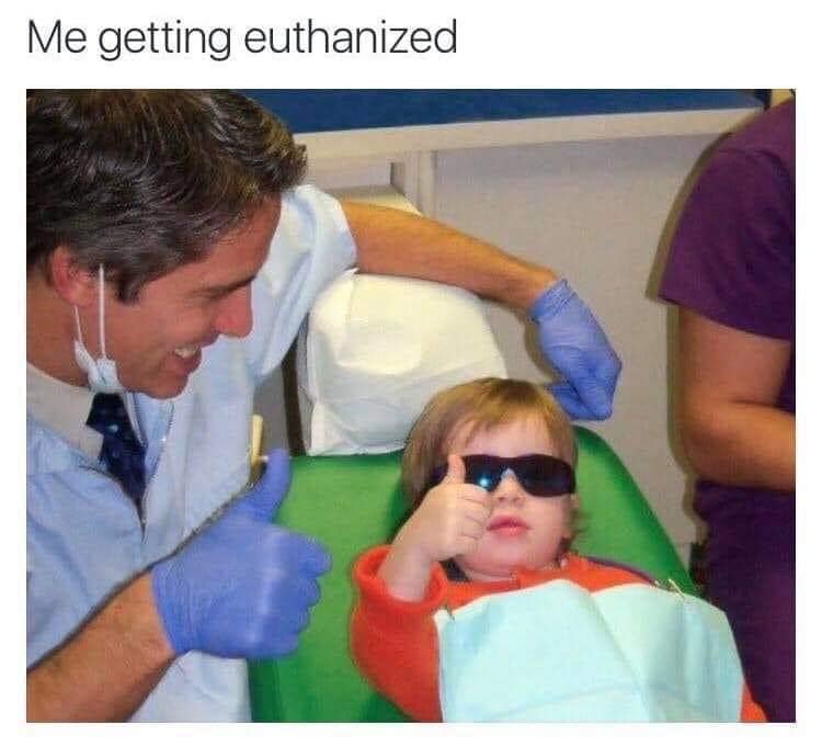 Okay, let's analyze this meme through several theoretical lenses. It's important to note that applying these frameworks to a meme like this is often playful and interpretive, seeking to expose underlying themes and as...