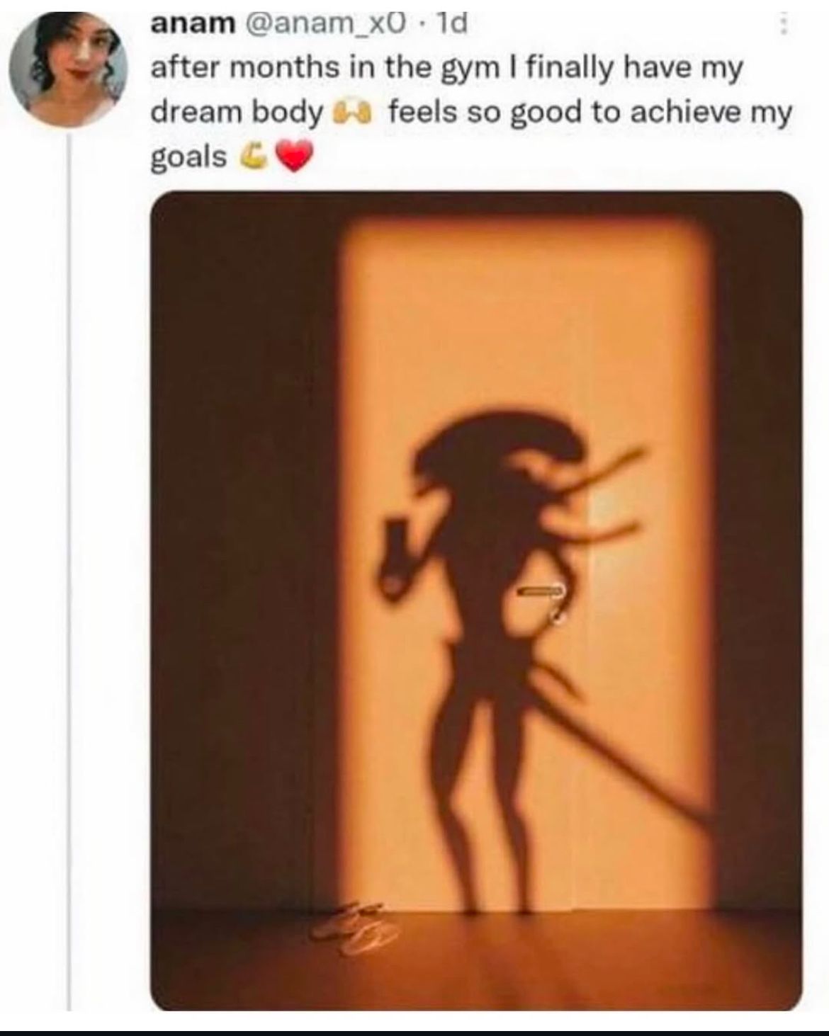 Okay, here's an analysis of the image and text, broken down into sections based on the requested theoretical frameworks, focusing on where they *apply* meaningfully. I'll indicate when a section is skipped because the...