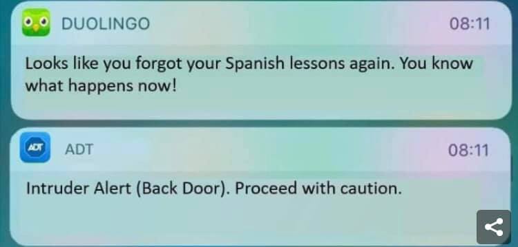 Okay, let's break down this oddly compelling screenshot of two phone notifications – one from Duolingo, one from ADT – through the lens of several critical theory frameworks. ## Visual Description The image depicts tw...