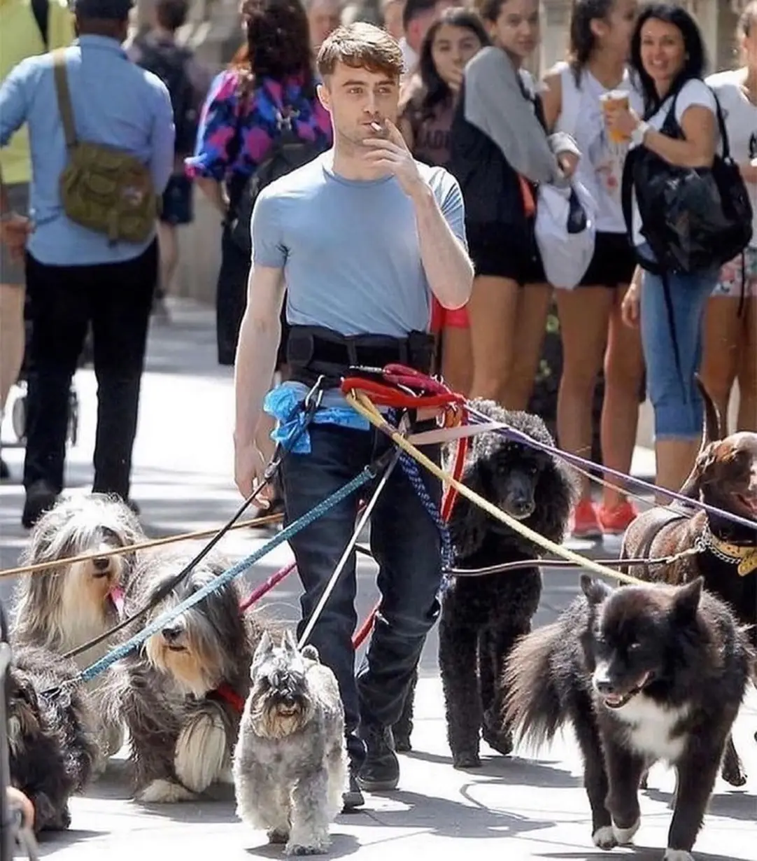 Okay, here's a breakdown of the image using the requested theoretical lenses. It's important to note that applying these theories to a single candid photo like this can be somewhat speculative and playful, but hopeful...