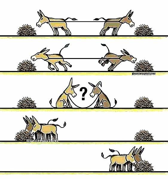 Okay, let's break down this image series through the lenses you've requested. It’s important to remember interpretation is subjective, and these are readings based on the visual cues and the implied narrative. ## Visu...