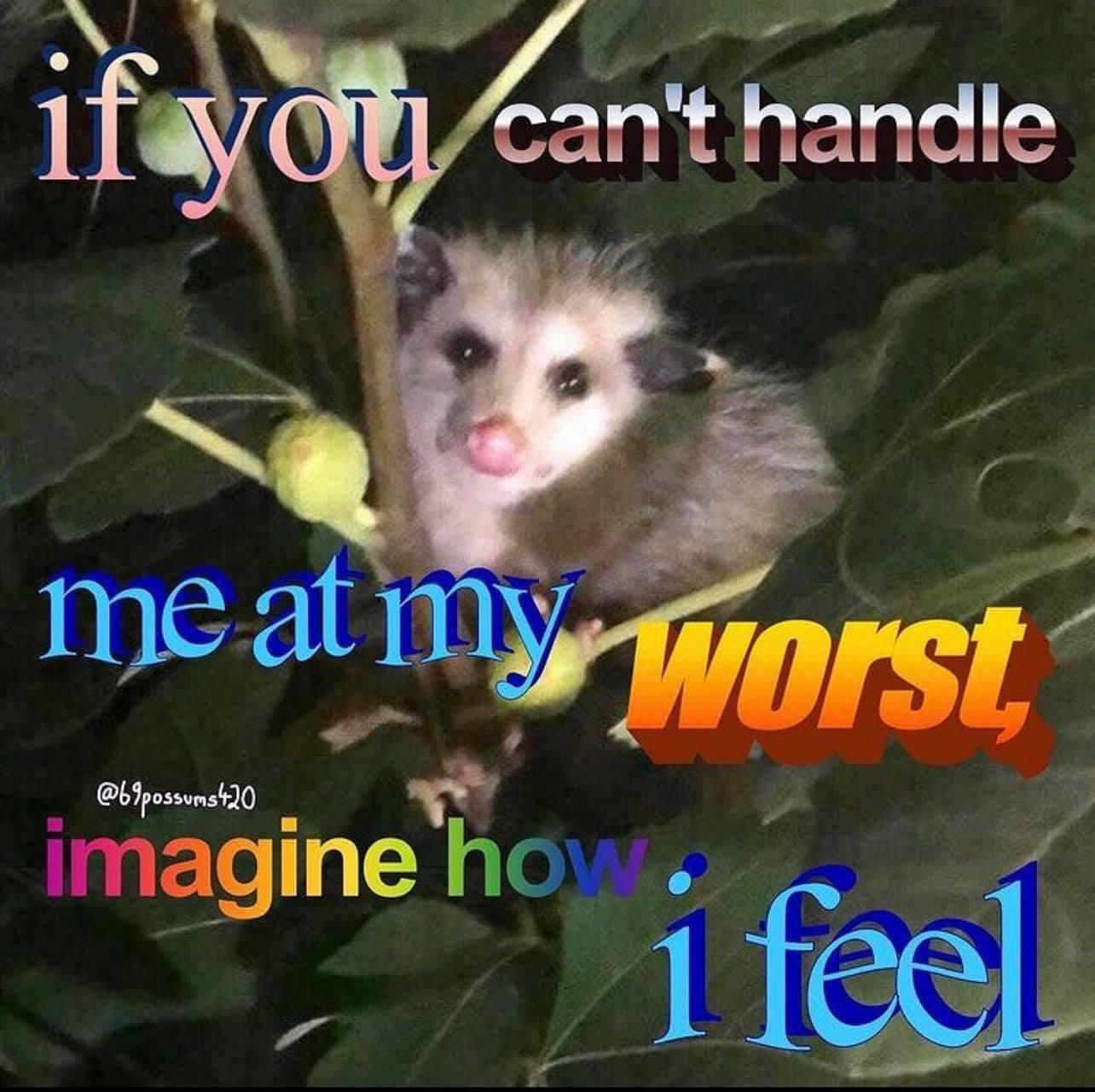 Okay, let's break down this image of a possum with overlaid text, using the requested theoretical frameworks. It's a surprisingly rich image for analysis, despite its simple presentation! **Visual Description** The im...