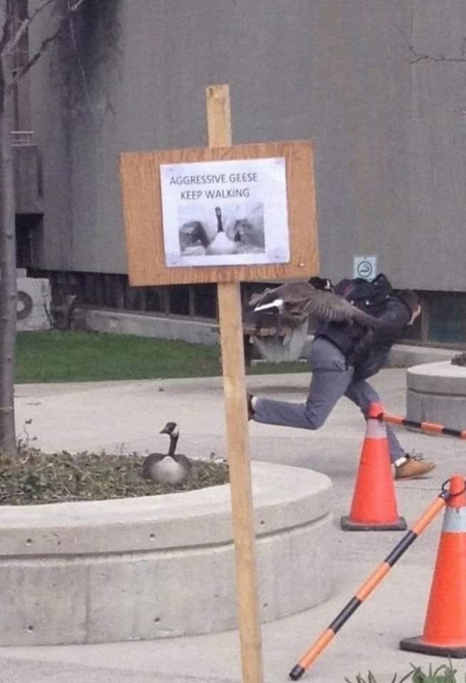 Okay, here's an analysis of the image, broken down into the sections you requested, with explanations of how each theoretical lens applies. Note that some sections will be more extensive than others, depending on the...