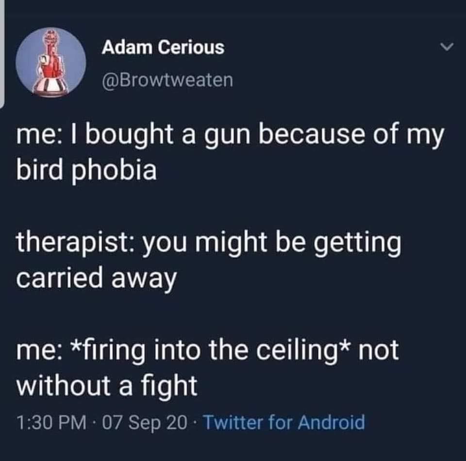 Okay, let's break down this darkly humorous Twitter post through several theoretical lenses. Note that some lenses won't be *strongly* applicable, and I'll indicate that where relevant. **1. Visual Description** The i...