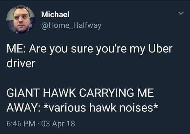 Okay, let's break down this Twitter post using the requested theoretical lenses. **Visual Description** The image is a screenshot of a tweet from a user named Michael (@Home_Halfway). The user’s profile picture shows...