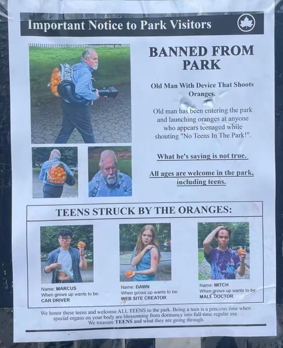 Okay, let's break down this peculiar public notice through the lenses you've requested. It's... a lot. The document is dense with layers of oddity, lending itself to multiple interpretations. **1. Visual Description**...