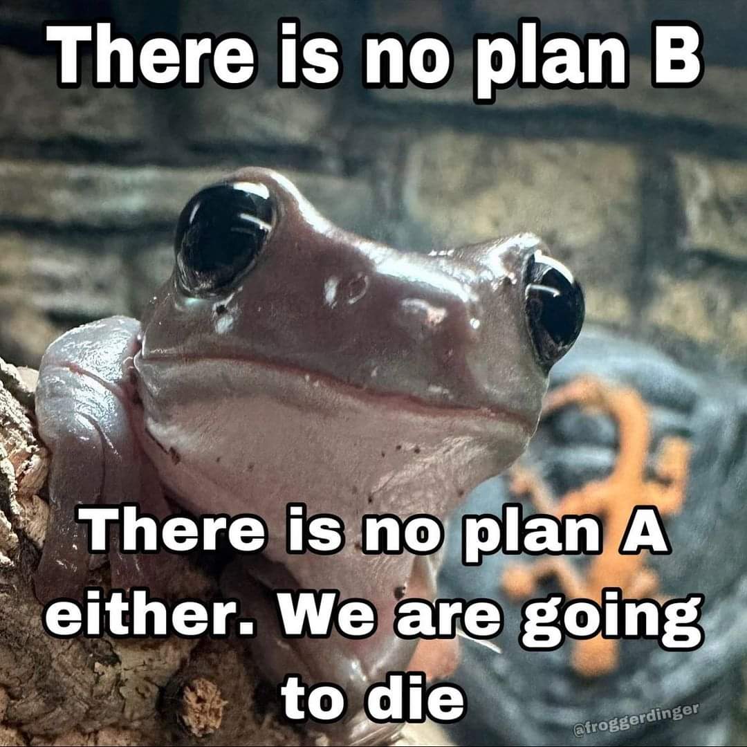 This meme is a play on the concept of Neo-Dadaism, a movement that emerged in the 1950s and 1960s, which rejected traditional notions of art and sought to challenge the status quo. The meme features a picture of a fro...