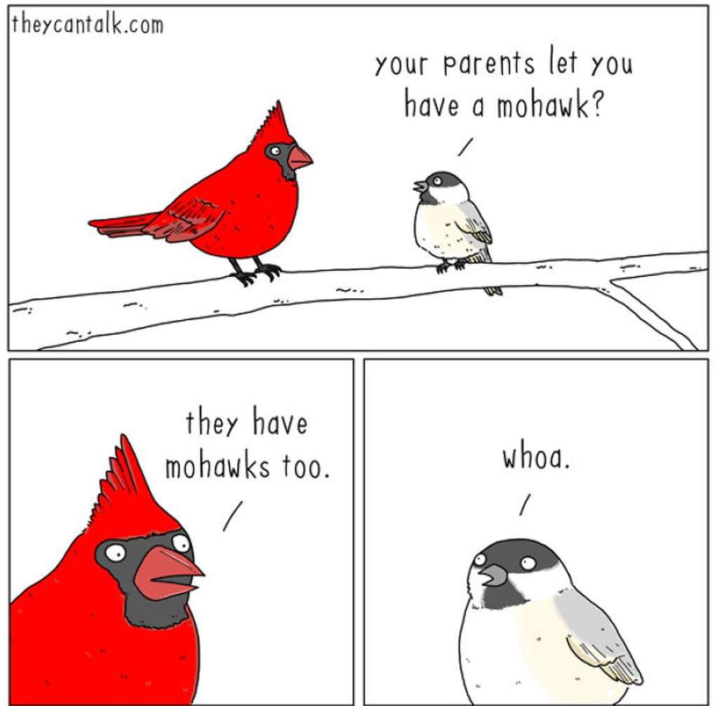 In the spirit of Neo-Dadaism, this meme subverts the traditional notion of a "meme" by presenting a seemingly innocuous conversation between a cardinal and a chickadee. The text reads: "Your parents let you have a moh...