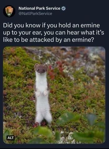 Okay, let's break down this seemingly whimsical Twitter post from the National Park Service using the requested theoretical lenses. It's important to note that applying these complex theories to a simple image/tweet c...