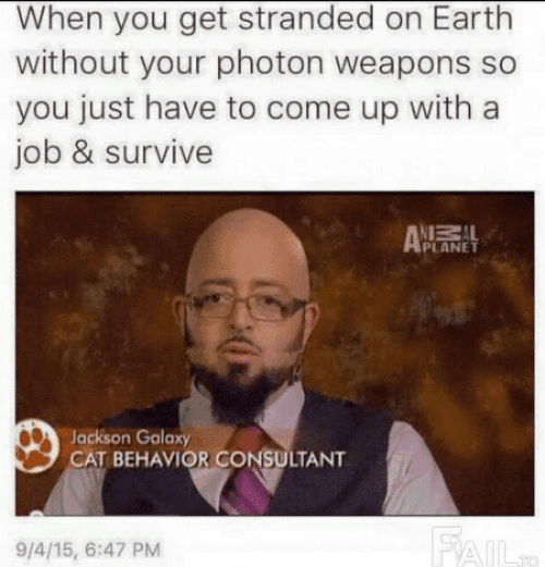 Okay, let's break down this meme/image through the lenses you've requested. It's a bit of a bizarre and layered image, so some of these frameworks will have more traction than others. **Visual Description** The image...