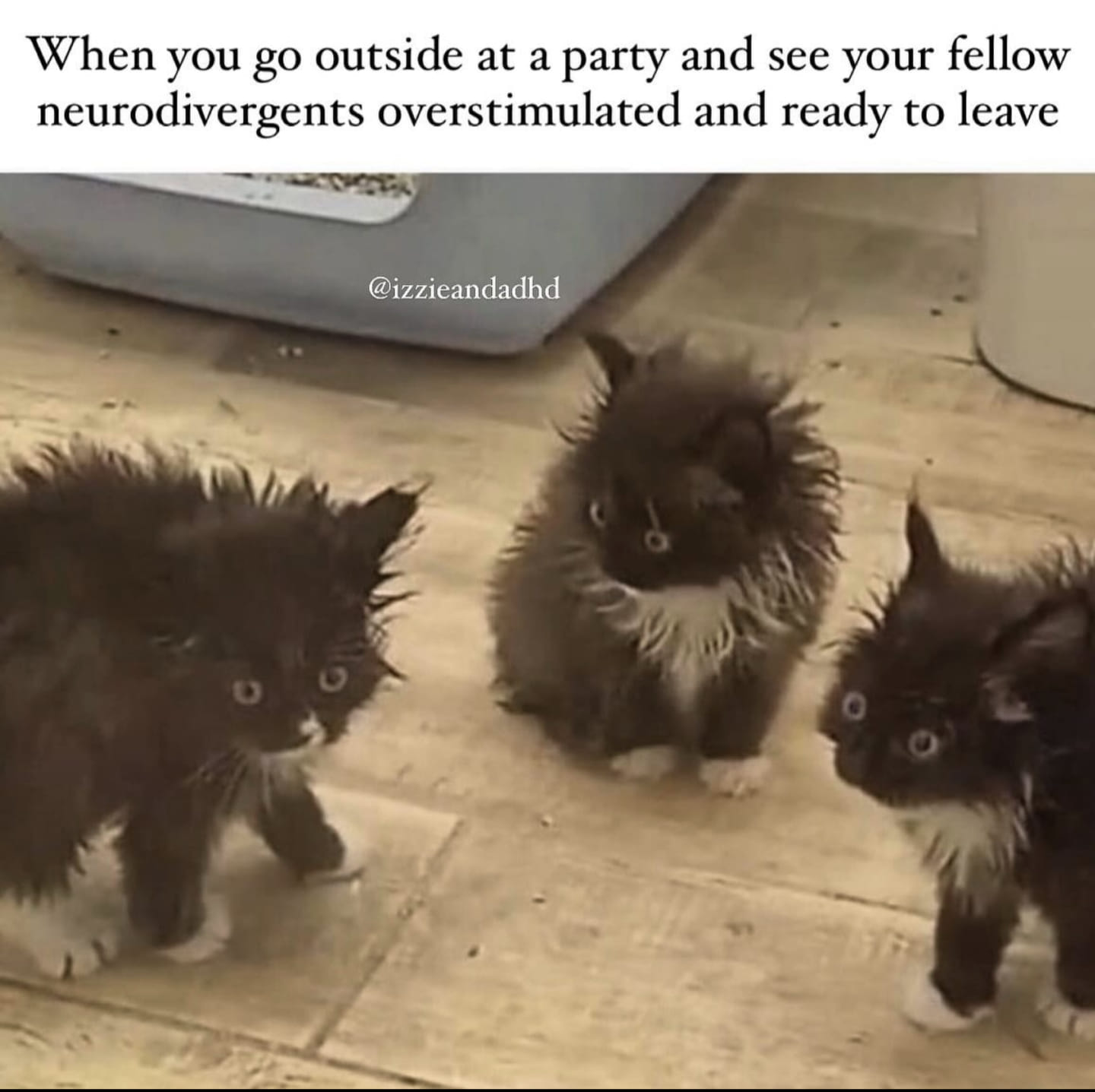 Okay, let's break down this meme using the requested theoretical frameworks. It's a surprisingly rich little image for the depth of analysis we can apply! **Visual Description** The image features three small, dark-fu...