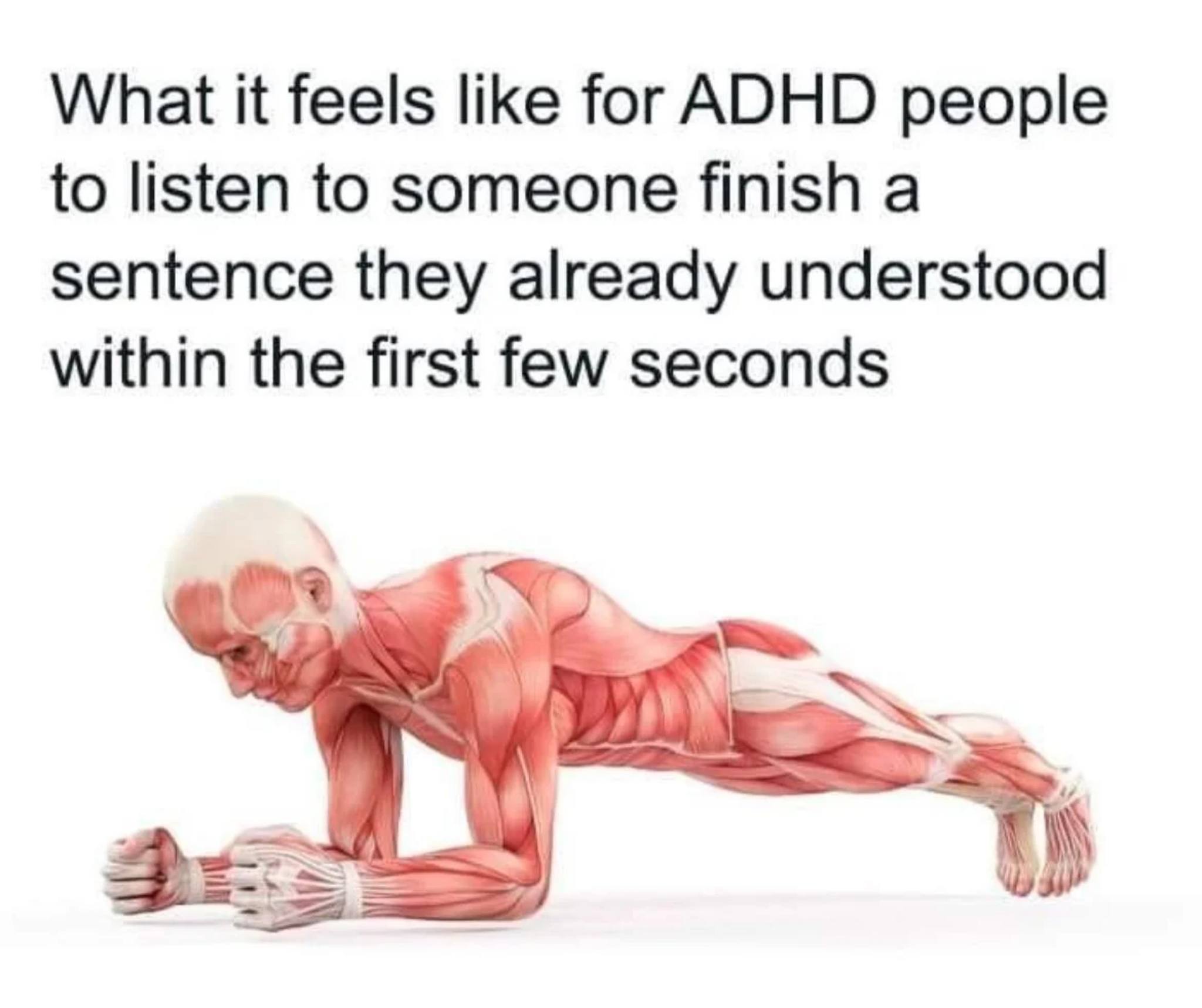 Okay, let's break down this meme using the requested theoretical frameworks. It's a surprisingly rich image when viewed through these lenses. **1. Visual Description** The image depicts a hyper-realistic anatomical re...