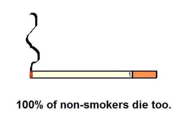 Okay, let's break down this image and its accompanying text using the frameworks you've requested. I'll only include sections where the theory *genuinely* applies, and will indicate when a framework isn't really a goo...