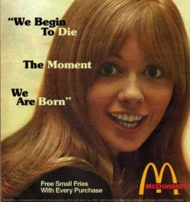 Okay, let's break down this deeply unsettling McDonald's advertisement through various critical lenses. It's important to note the impact comes from the jarring juxtaposition of the text and the cheerful advertising s...
