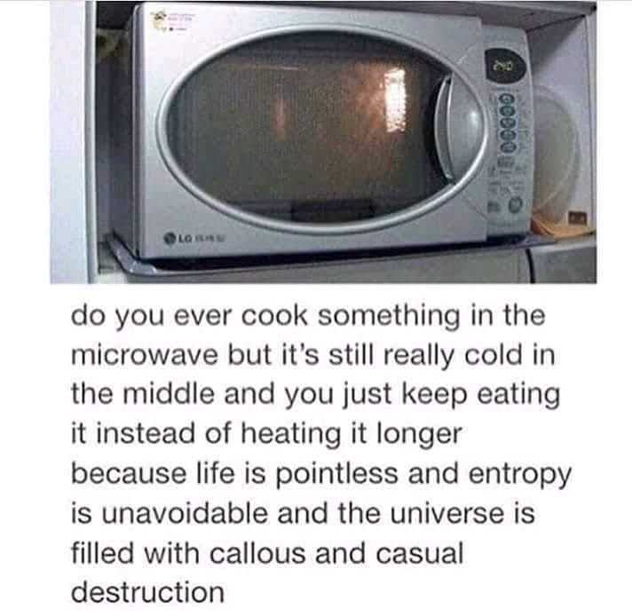 Okay, let's break down this image and accompanying text through several theoretical lenses. It's a somewhat absurd pairing of the mundane with high-level philosophical despair, which makes it perfect for this kind of...