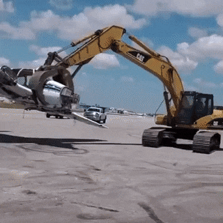 DentalBreakableHarvestmen-size_restricted